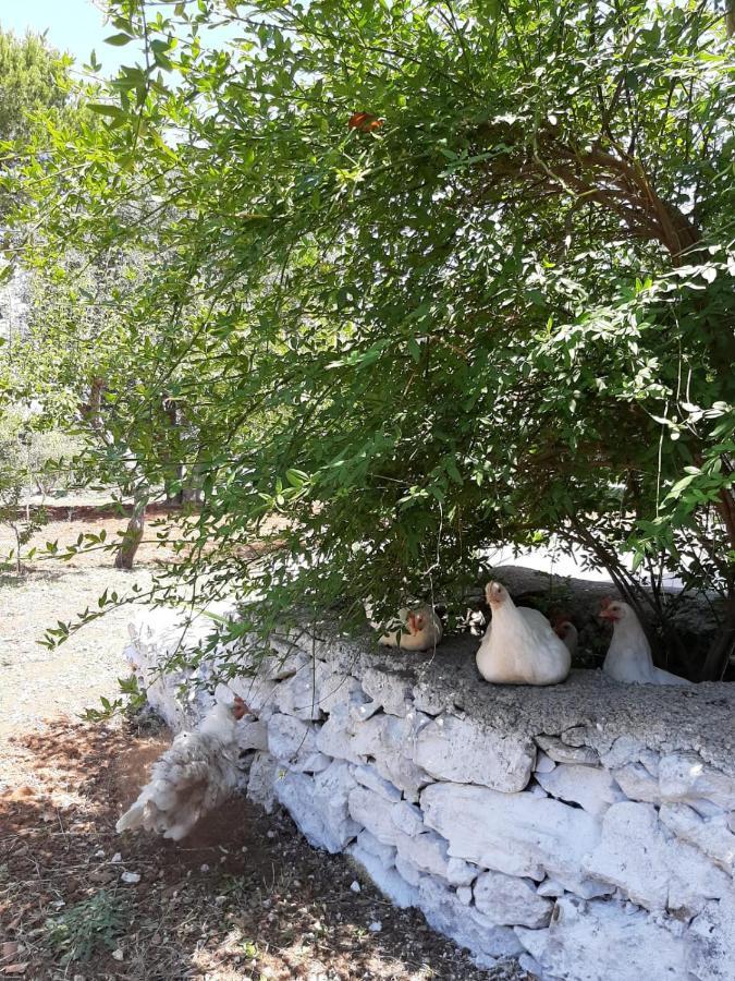 Villa Trullo Fellone Ceglie Messapica Exterior foto